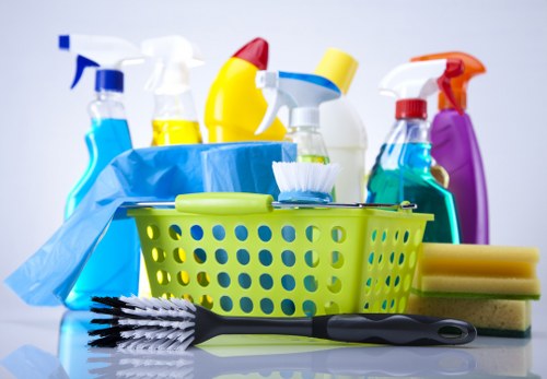 A local cleaner providing regular cleaning in an Enfield home