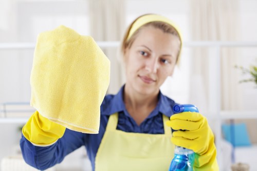 Professional patio cleaning for Enfield homes and gardens