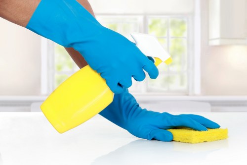 Encrypted card payment process for Enfield Cleaner services
