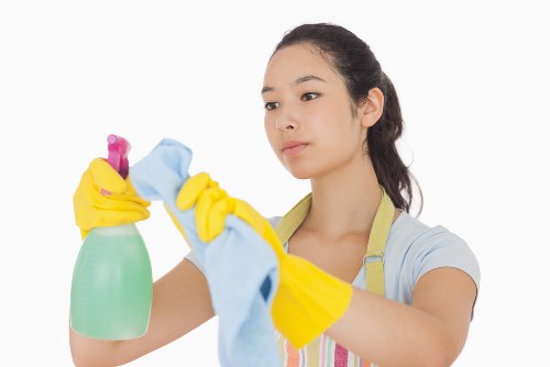 Professional Enfield Cleaner service introducing company values and quality cleaning