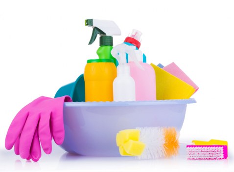 Deep upholstery cleaning equipment used on a sofa in Enfield