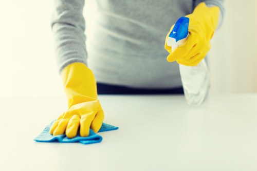 Regular house cleaning in a modern Enfield flat