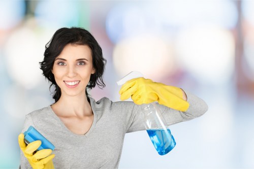 Local cleaner working in an Enfield residential property