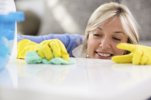 Exterior building cleaning with access planning in Enfield