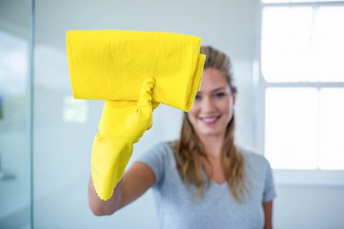 Local cleaner working in an Enfield kitchen and living space