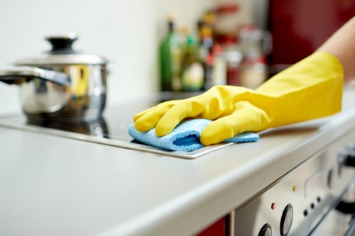Thorough final property clean ready for tenancy check-out in Enfield