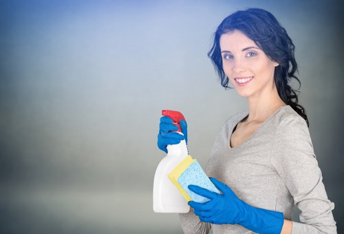 Professional gutter clearing for commercial property in Enfield