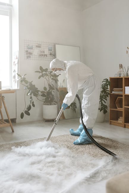 A professional cleaner from Enfield Cleaner dressed in a white protective suit, gloves, and boots is performing deep carpet cleaning in a bright, minimalist living room in Ponders End. The cleaner is using a vacuum or extraction machine with a hose attachment to thoroughly clean a beige carpet, which appears to be wet and fluffy from the cleaning process. The room features natural light coming through a large window, modern decor including potted plants, a wooden sideboard, and a small table, all contributing to a clean and tidy environment. Visible items such as a whiteboard and a wire grid adorn the white walls, emphasizing a neat, organized space. This surface cleaning process demonstrates [COMPANY_NAME]'s expertise in deep cleaning and sanitisation of domestic carpets to ensure hygiene and freshness.
